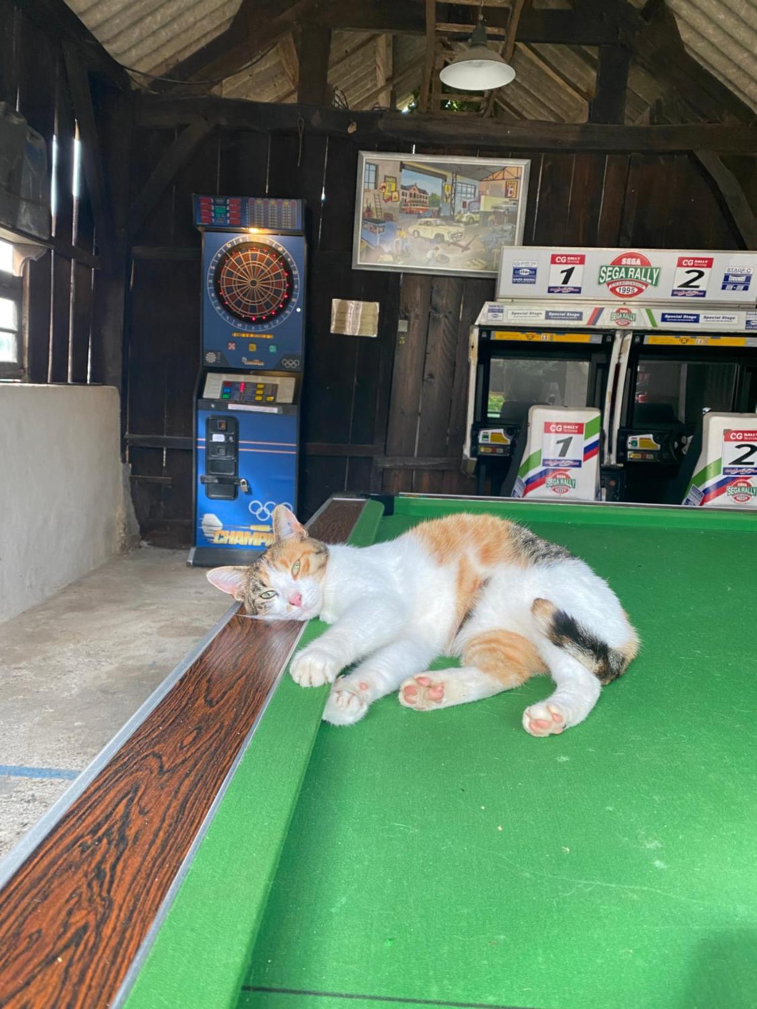 Camping La Ferme De Perdigat Limeuil 외부 사진