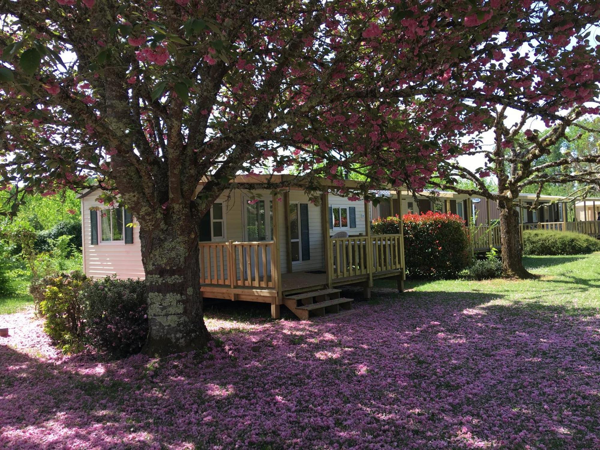 Camping La Ferme De Perdigat Limeuil 외부 사진