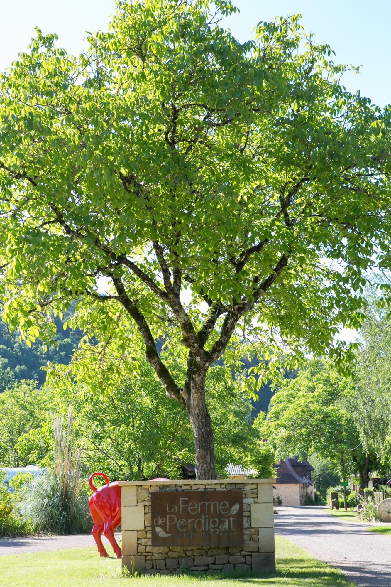 Camping La Ferme De Perdigat Limeuil 외부 사진